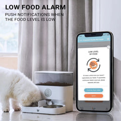 Double Automatic Pet Feeder with Splitter & Dual Bowls for Cats and Small Dogs