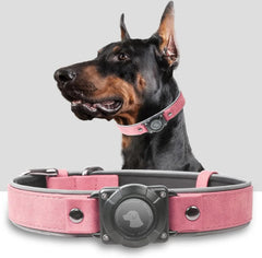 Leather AirTag Dog Collar, Water-Resistant, Reflective, Adjustable, Built-In AirTag Holder