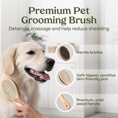 Pawfume Dog Spa Gift Basket 6-Piece Probiotic Deodorizer & Grooming Set