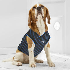 Pets First NBA Dog Jersey Tank Top Basketball Pet Shirt – All Teams & Sizes
