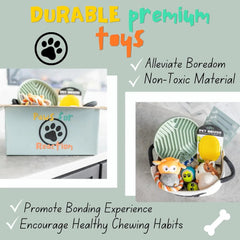 Premium New Puppy Gift Basket – Dog Starter Kit & Birthday Toy Set